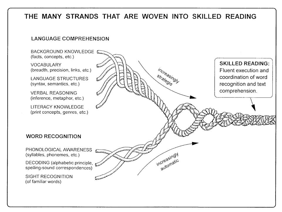 Reading Rope Fluency Weaving a Strong Reading Rope: Why All 5 Strands Matter – Teen ...